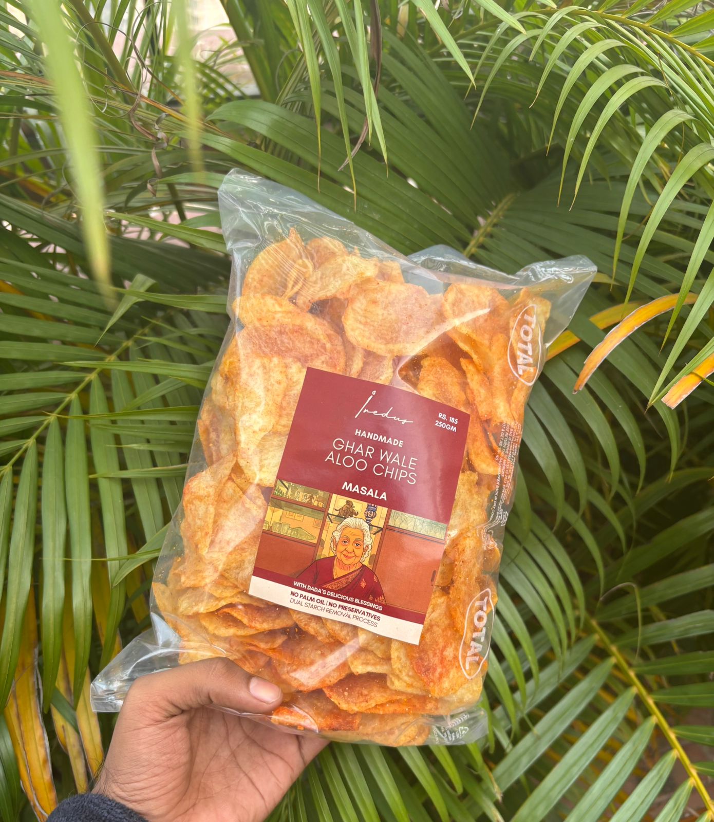 Ghar Wale Aloo Chips