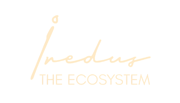 Iredus Ghar Wale Aloo Chips